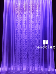 tendaled purple blue